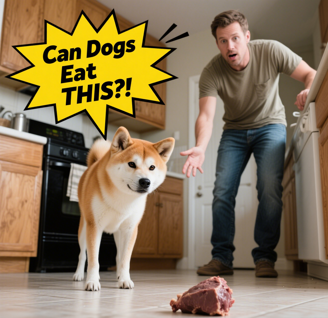 Can Dogs Eat Chicken Liver? Spoiler: Yes, But Read This First!