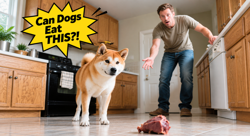 Can Dogs Eat Chicken Liver? Spoiler: Yes, But Read This First!