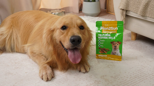 Are Treats Healthy for Dogs?