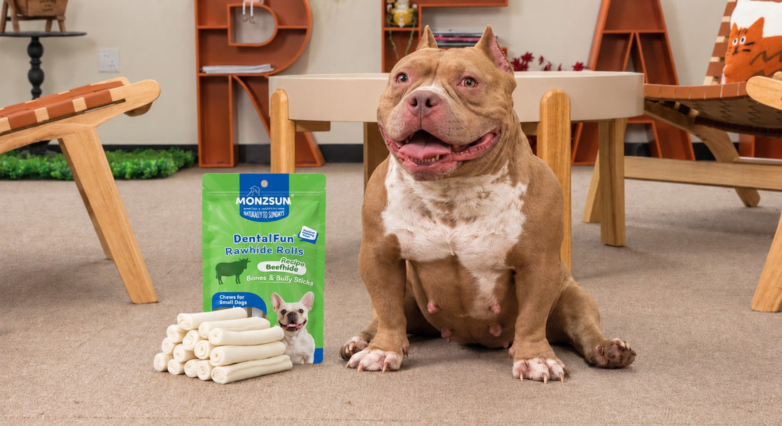 Happy dog enjoying dental chews in a comfortable home - MON2SUN