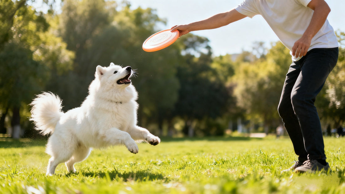 How to Treat Separation Anxiety in Dogs