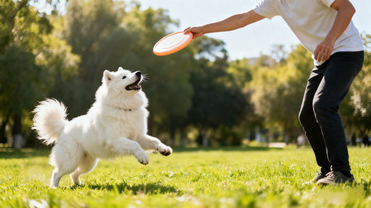 How to Treat Separation Anxiety in Dogs