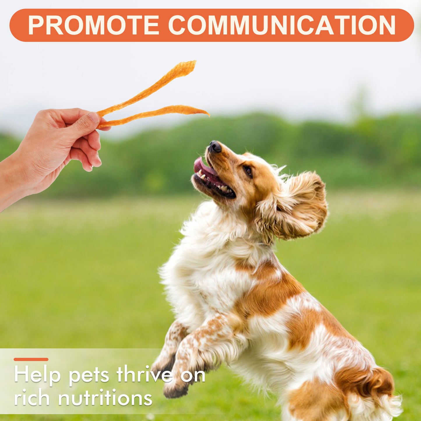 Small Dogs & Chicken Jerky Strips - MON2SUN