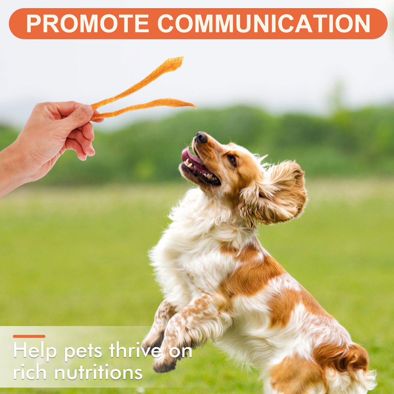 Small Dogs & Chicken Jerky Strips - MON2SUN