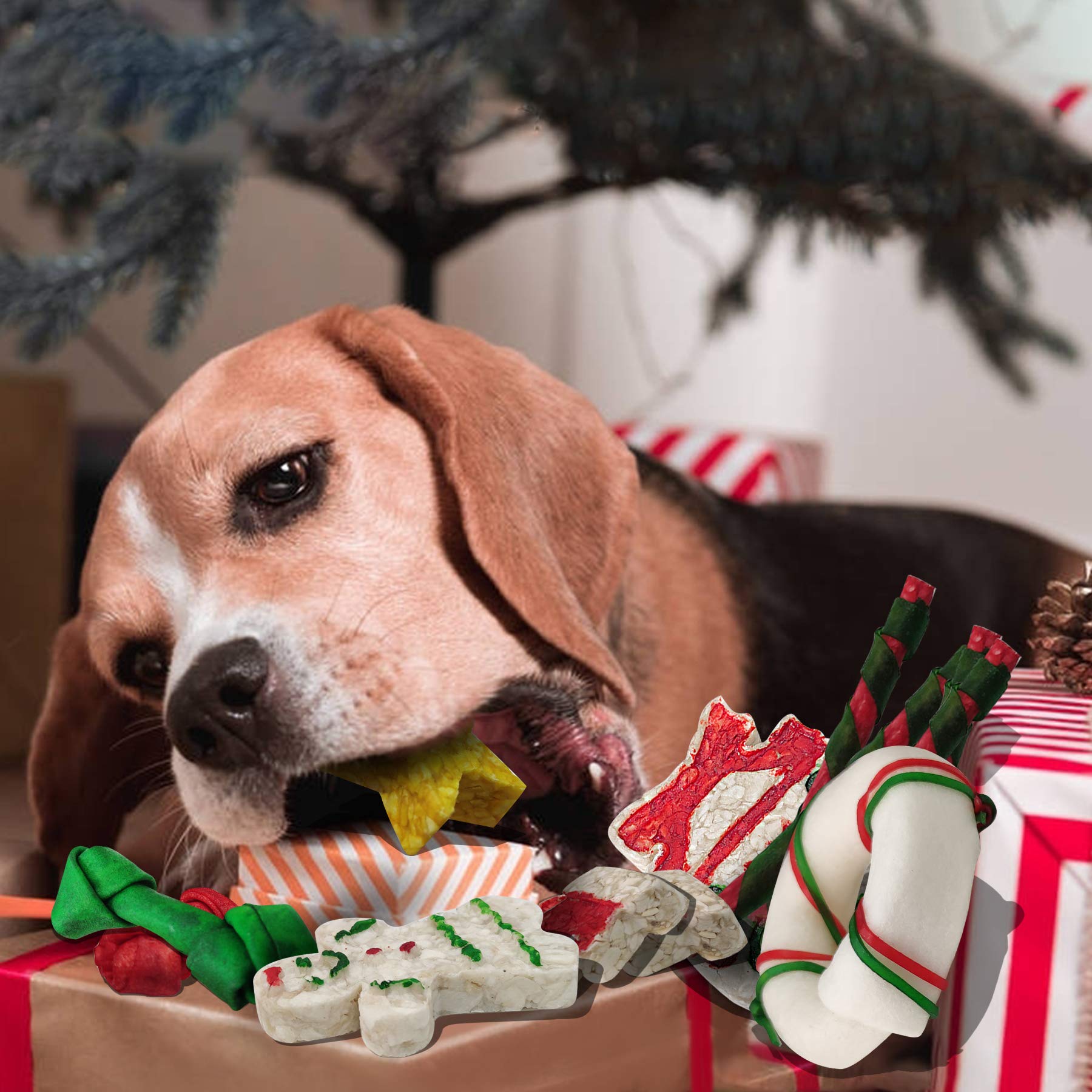 MON2SUN 12Count Christmas Dog Rawhide Treats Holiday Stocking for Small Dogs - MON2SUN