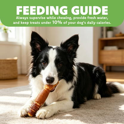 MON2SUN Dog Treats, 9 Inch Triple-Wrap Rawhide Rolls with Pumpkin