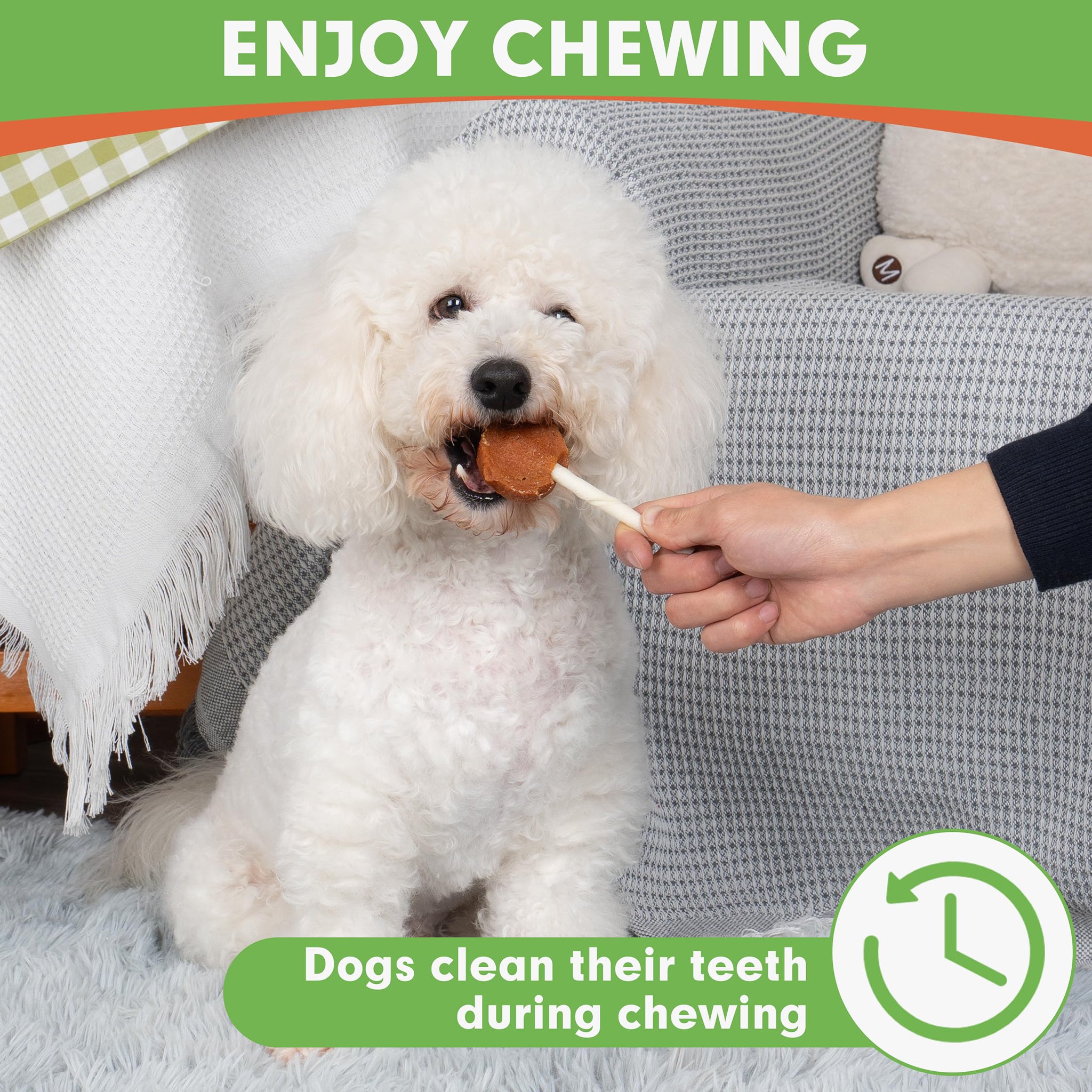 Small Dogs & Chicken and Egg with Rawhide - MON2SUN