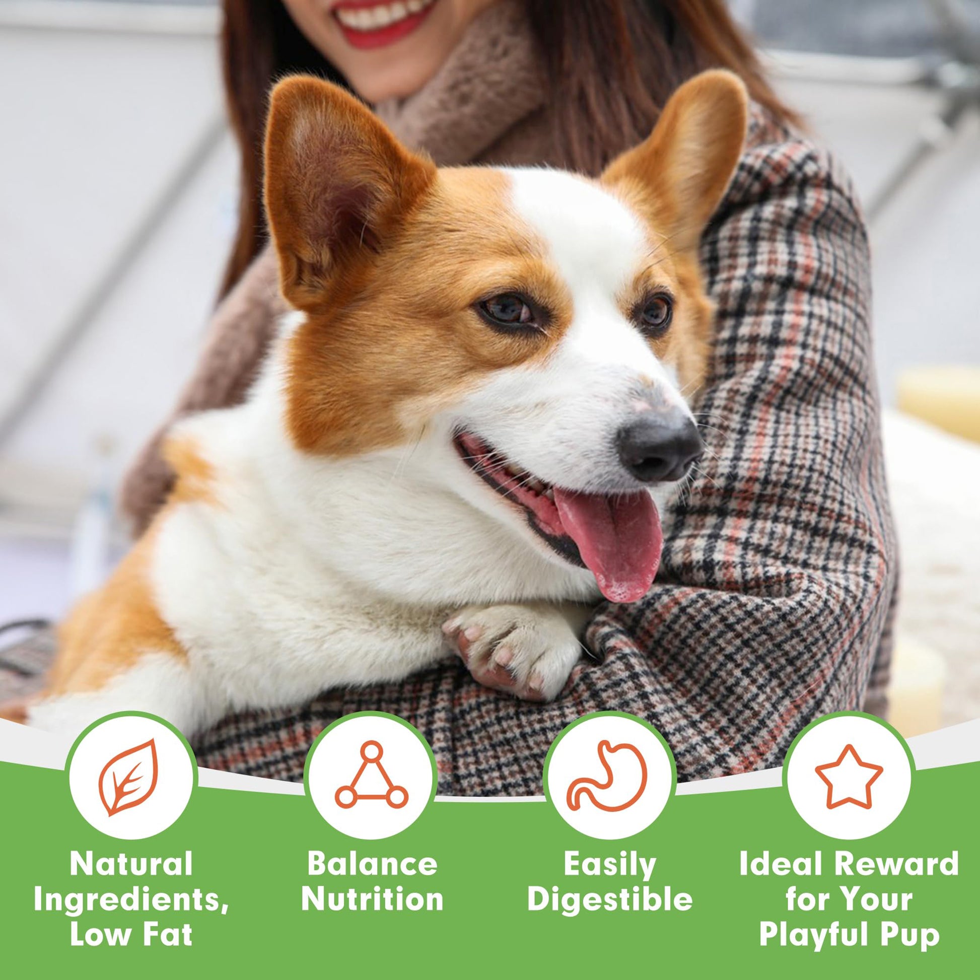 Small Dogs & Chicken Jerky Strips - MON2SUN