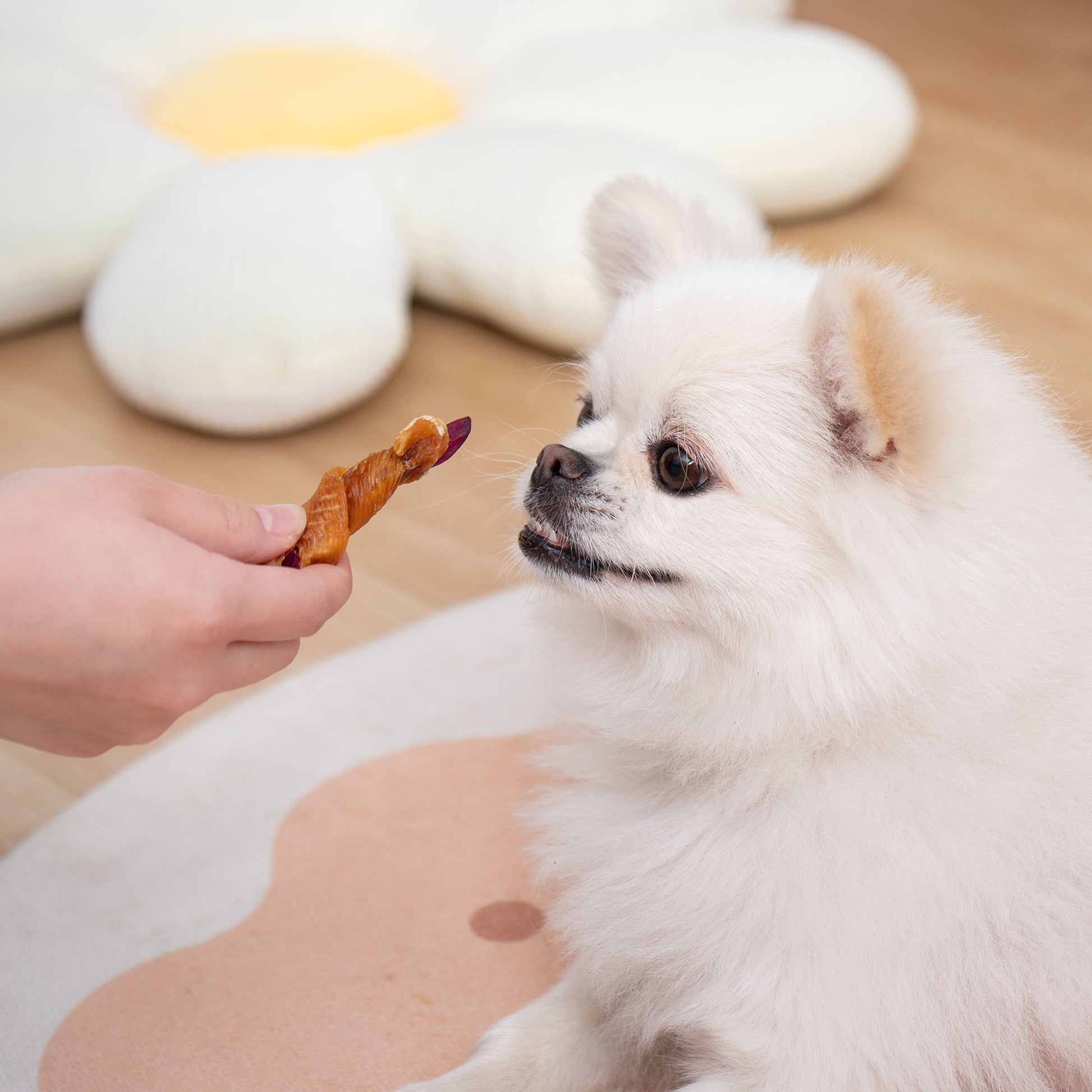 Small Dogs & Chicken Wrapped Purple Sweet Potato - MON2SUN