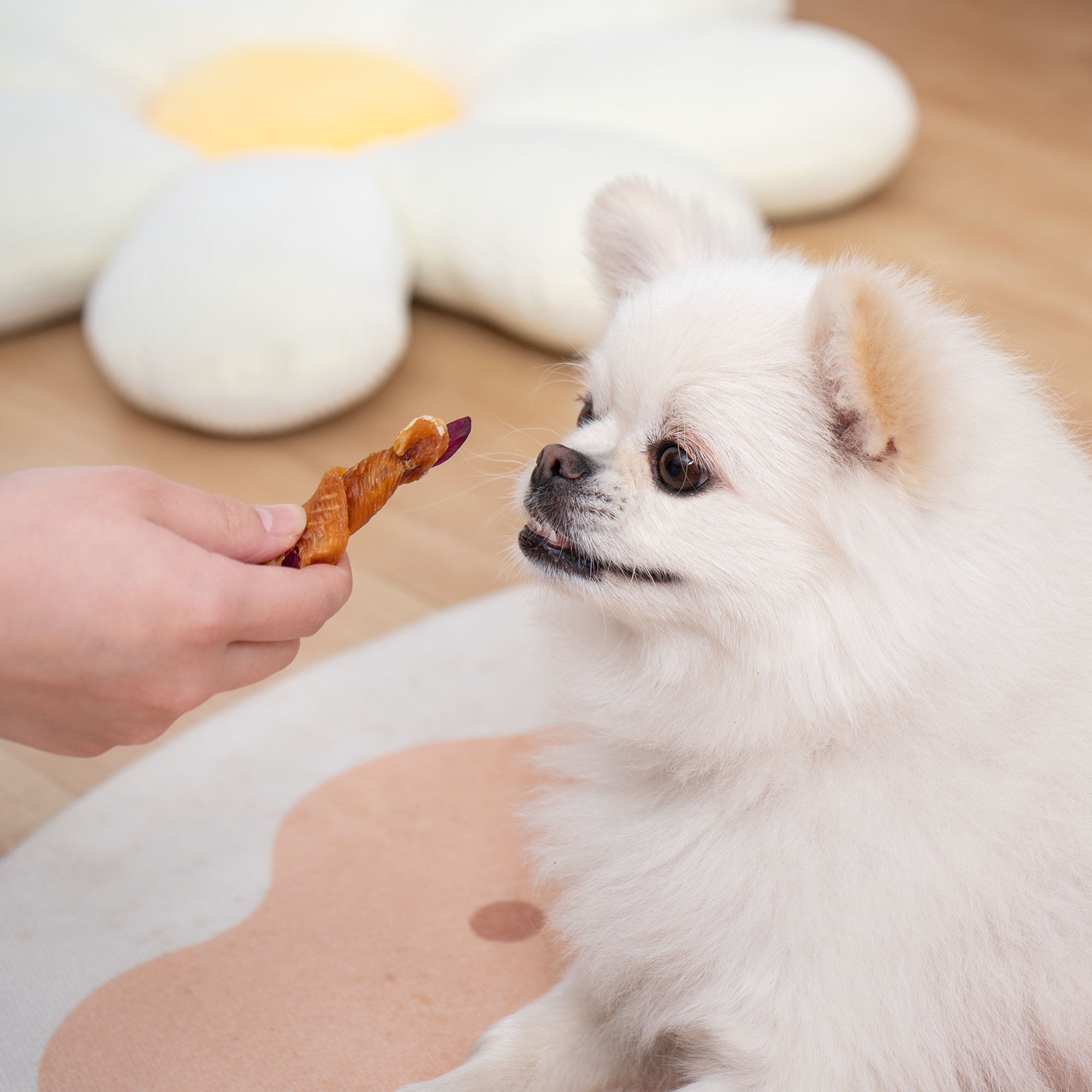 Small Dogs & Chicken Wrapped Purple Sweet Potato - MON2SUN