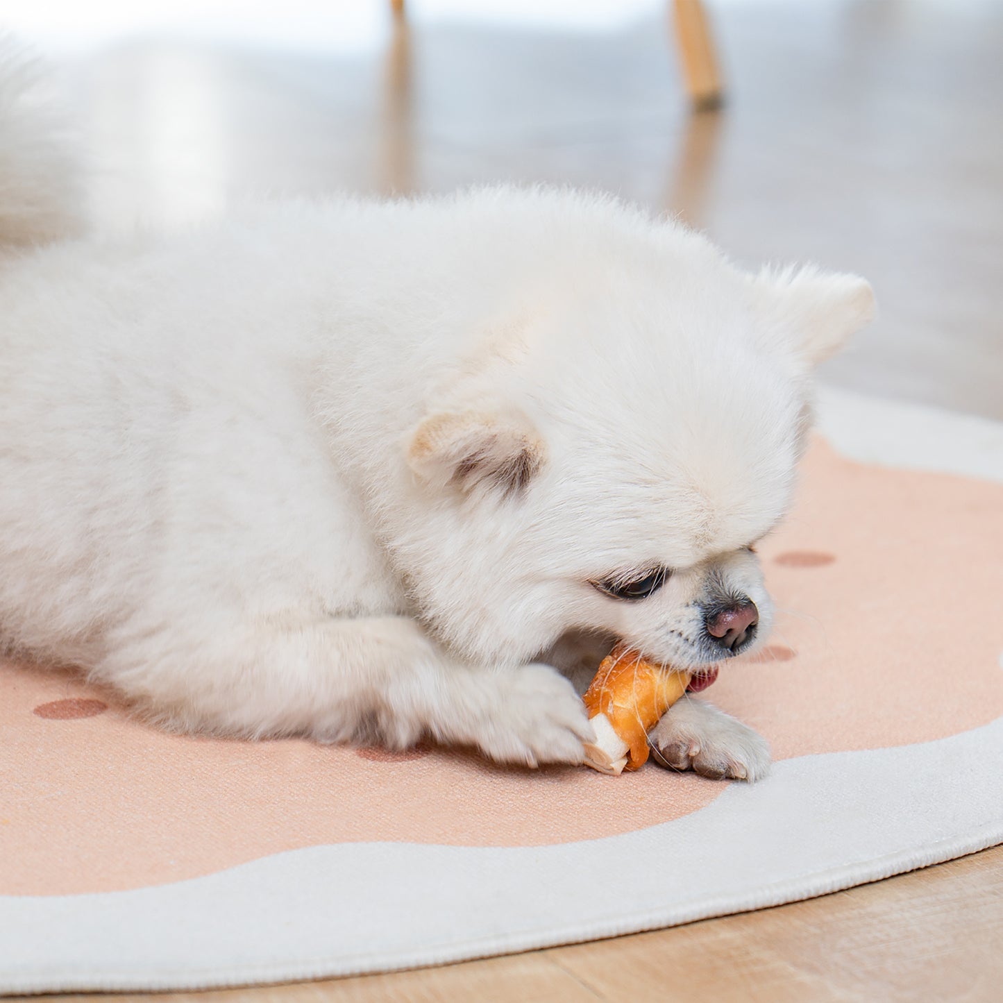 Small Dogs & Chicken Wrapped Rawhide Rolls - MON2SUN
