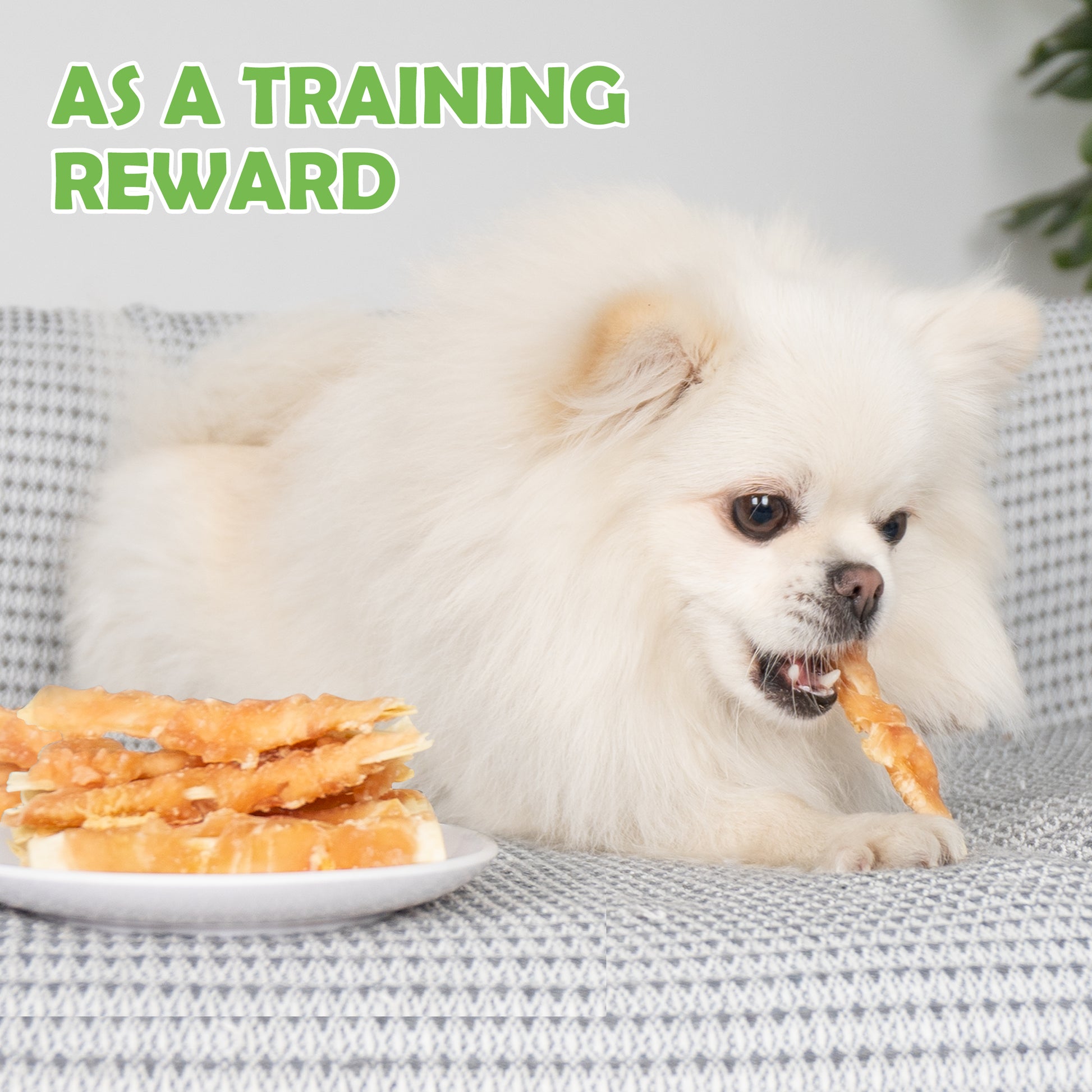 MON2SUN  Chicken Wrapped Cod Fillet Rawhide Free Small Dog Treats, 13 oz (36 Count) - MON2SUN