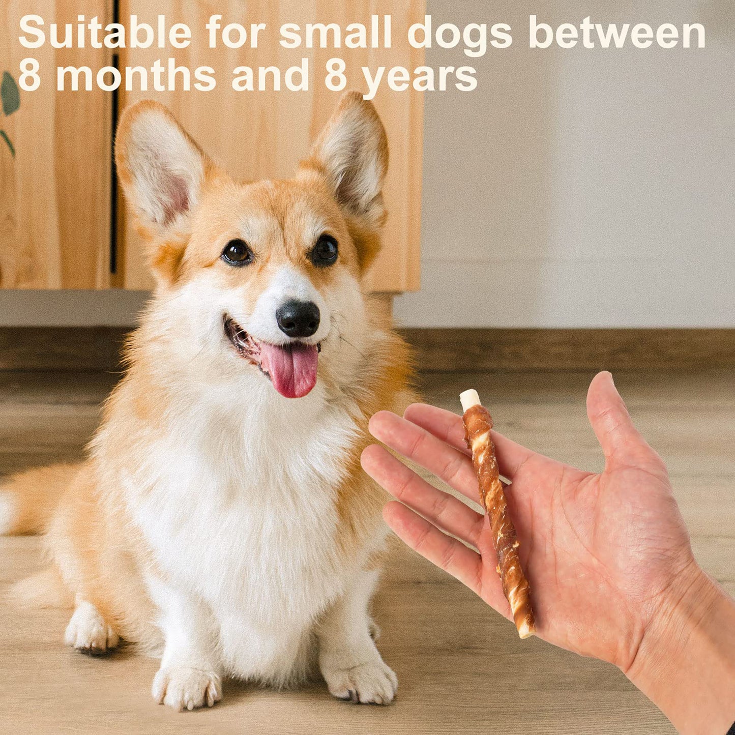 Puppy Small Dogs & Duck Wrapped Rawhide - MON2SUN