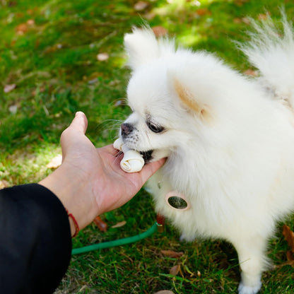 Puppy Small Dogs & Rawhide Knot Bones - MON2SUN