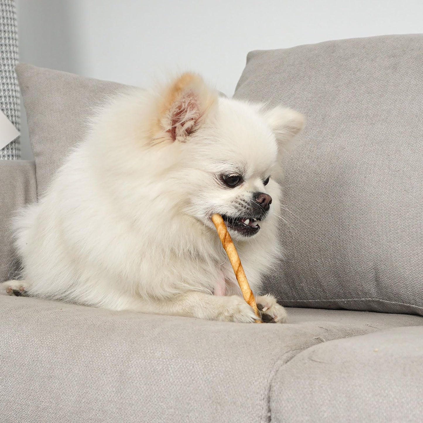 Puppy Small Dogs & Rawhide Twist Sticks Chicken Flavor - MON2SUN
