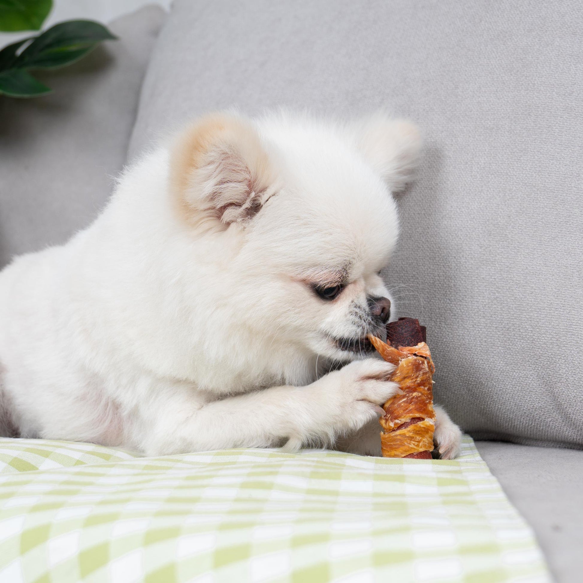 Small Dogs & Chicken Wrapped Duck and Beef Rolls - MON2SUN