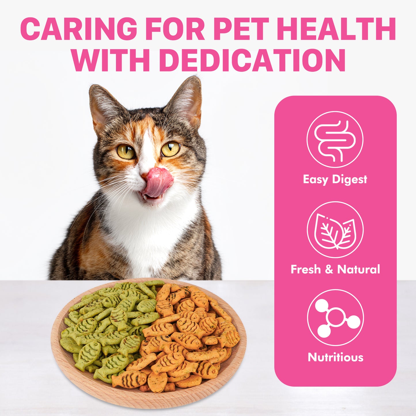 Puddonio Catnip Biscuit Chicken & Salmon Flavor Cat Treats