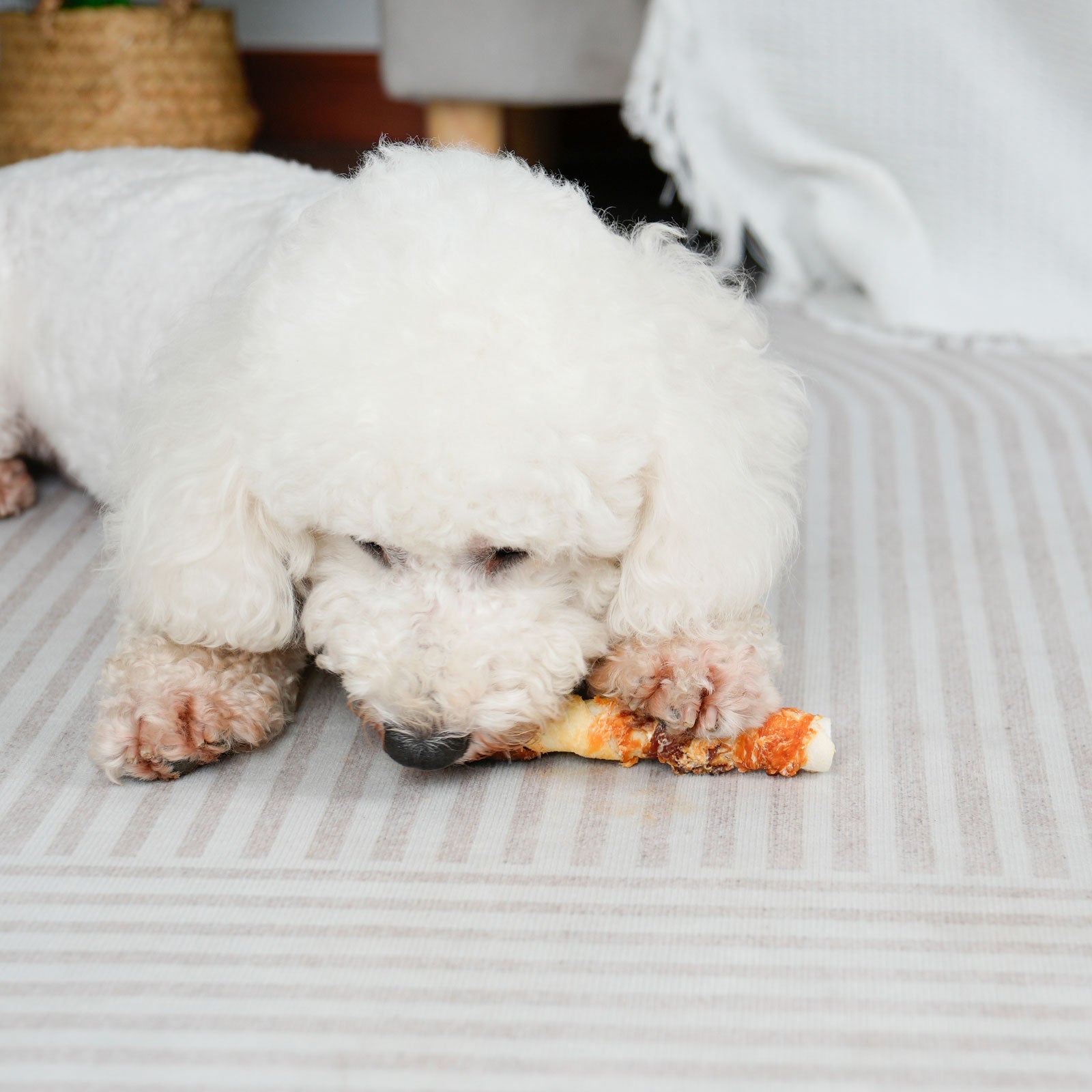 Medium Dogs &  Chicken Liver Duck and Chicken Wrapped Rawhide Sticks - MON2SUN
