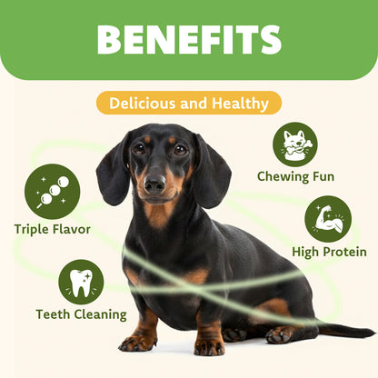 MON2SUN Dog Treats, 5 Inch Triple-Wrap Rawhide Sticks with Pumpkin