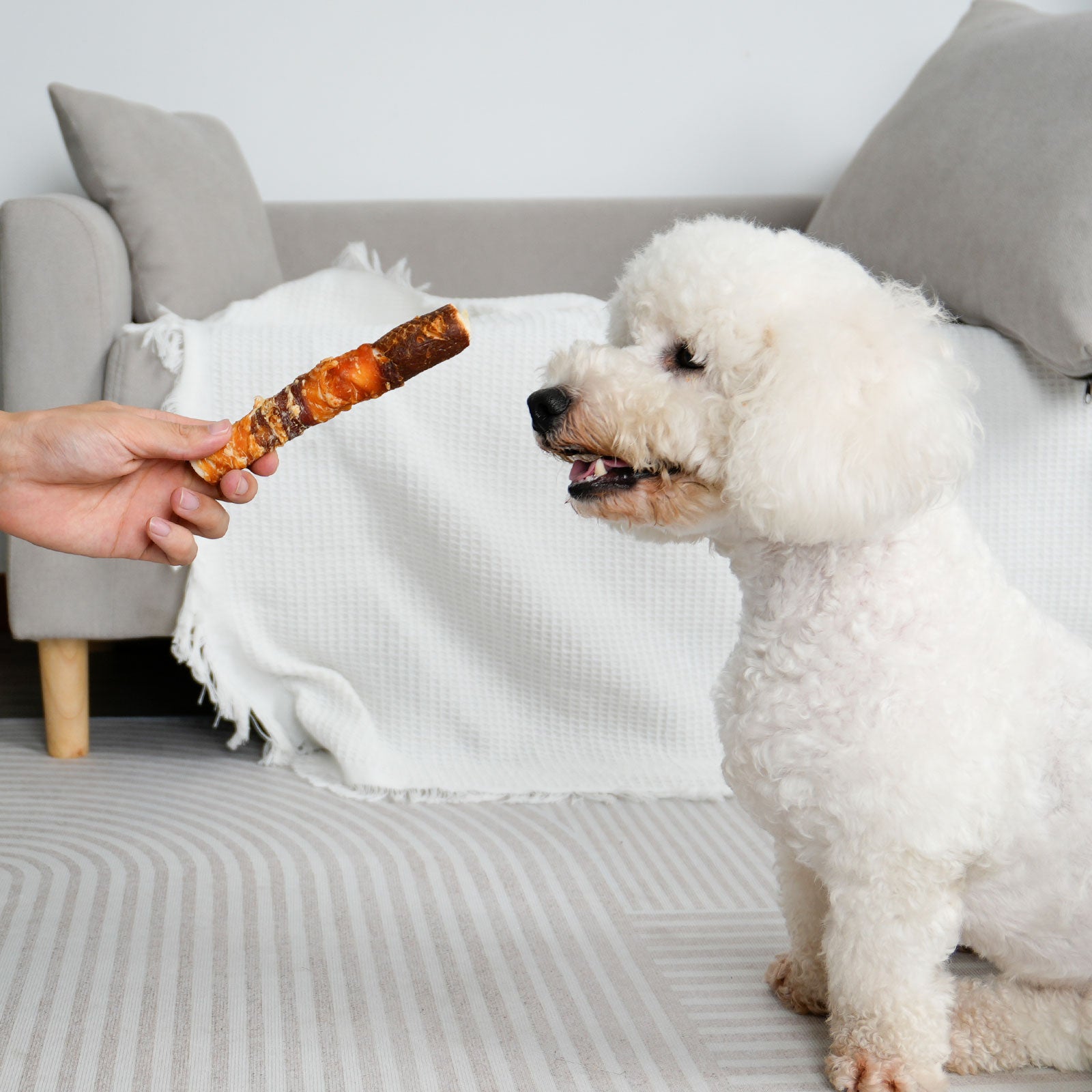 Medium Dogs &  Chicken Liver Duck and Chicken Wrapped Rawhide Sticks - MON2SUN