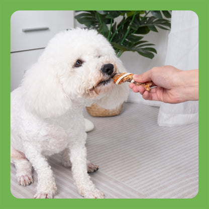 MON2SUN Chicken Duck & Codfish Twist Sticks Small Dog Treats, 10.1 oz (14 Count), 5-7 Inch