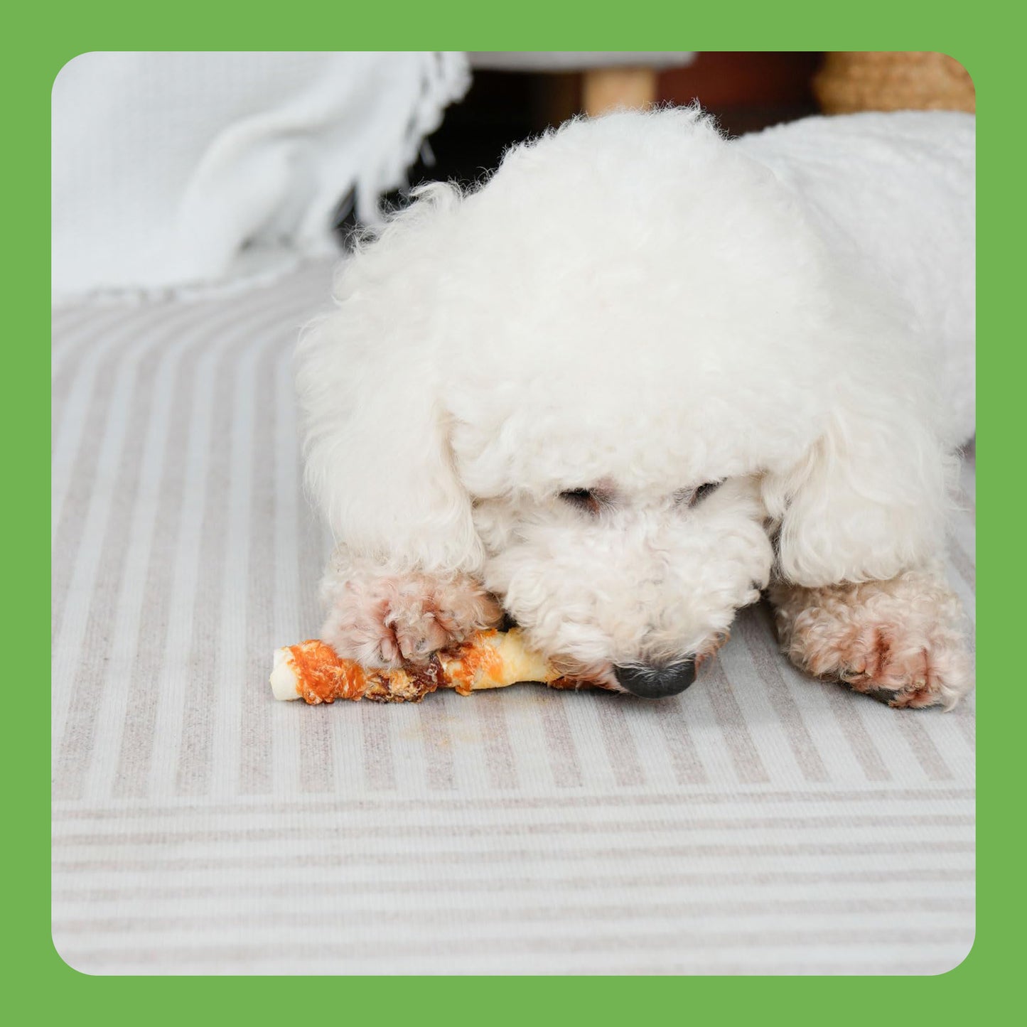 MON2SUN Chicken Liver, Duck & Chicken Wrapped Rawhide Medium Dog Treats, 8.8 oz (5 Count), 6 Inch