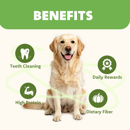 MON2SUN Dog Treats, 9 Inch Triple-Wrap Rawhide Rolls with Pumpkin