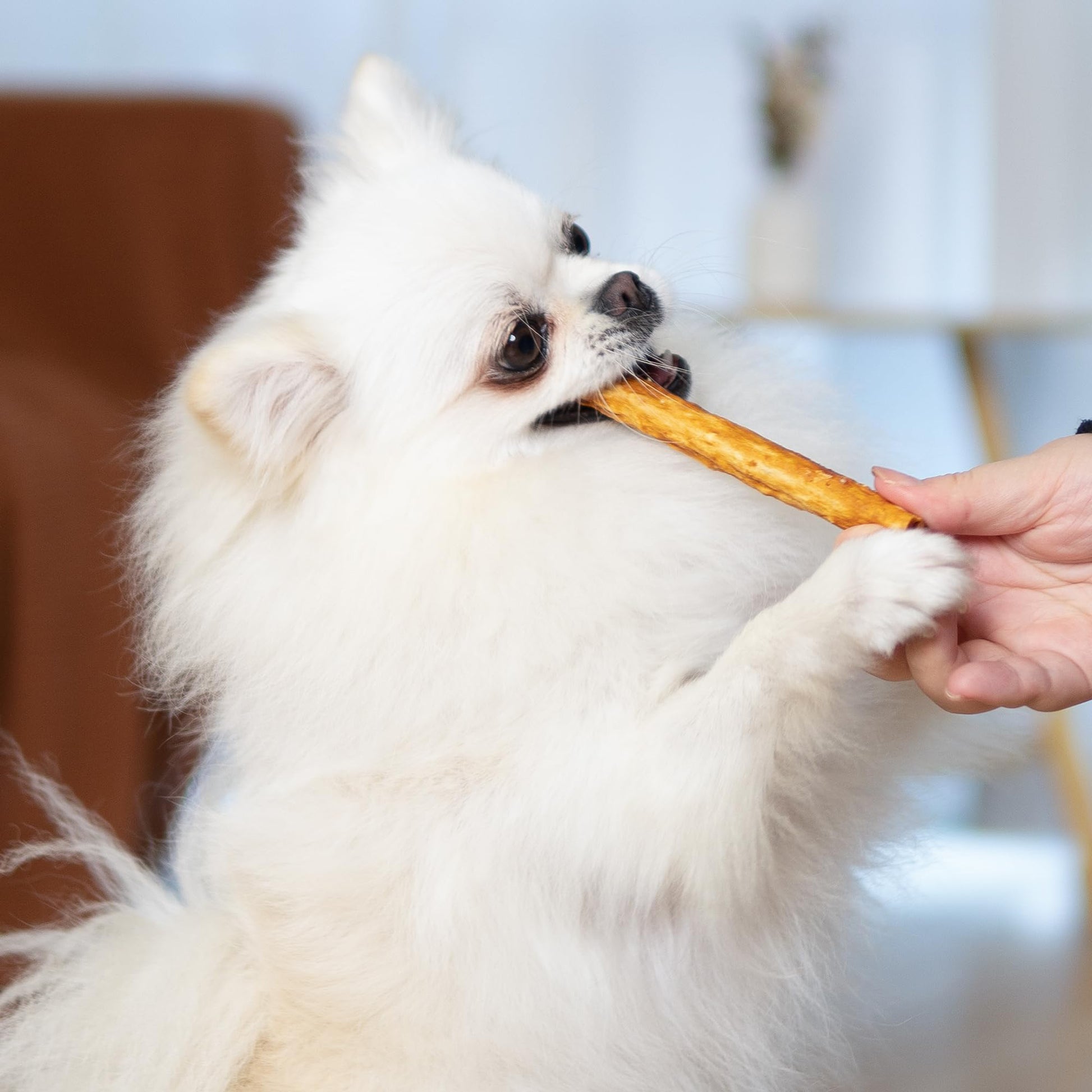 Medium Dogs & Chicken Collagen Sticks - MON2SUN
