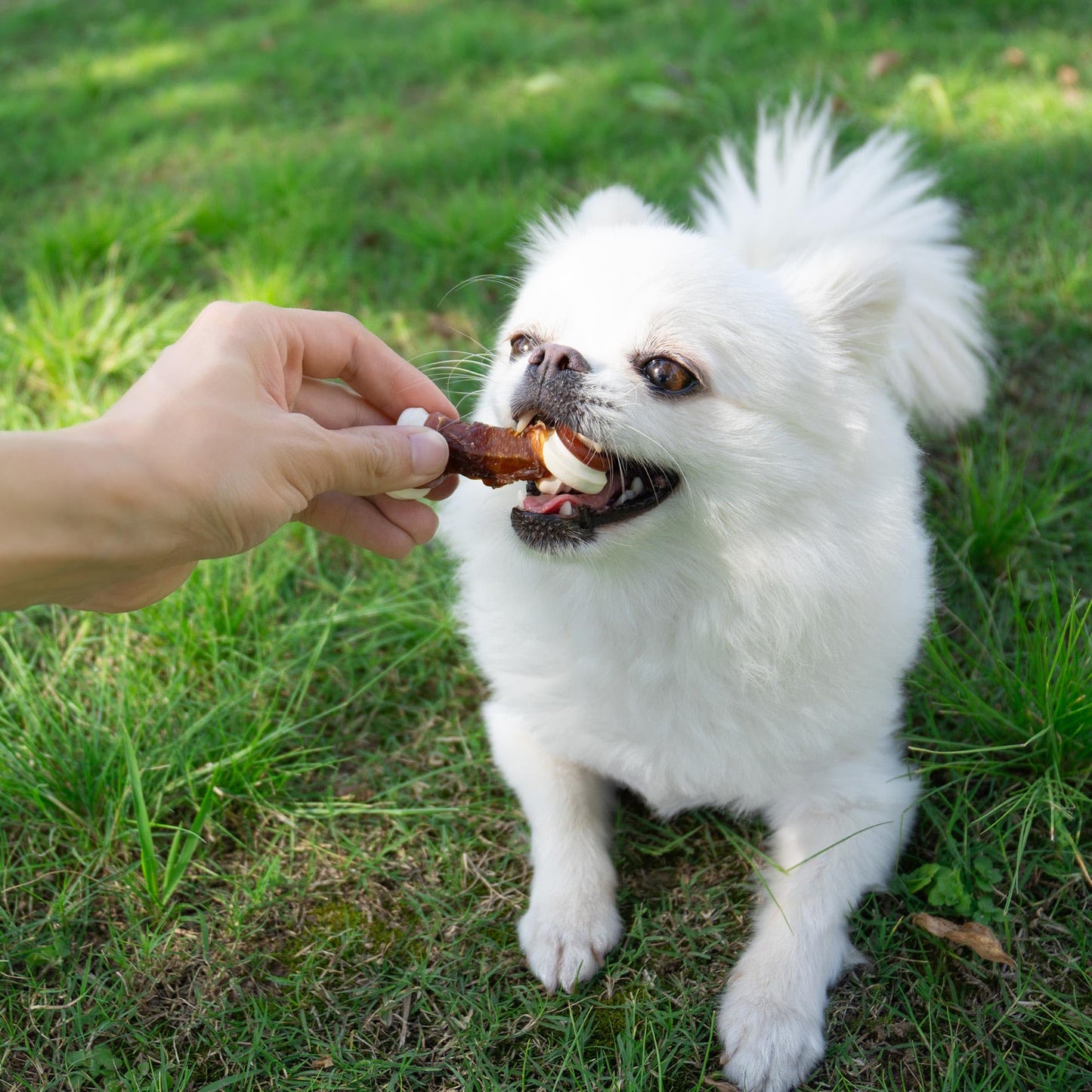 Small Dogs & Duck Wrapped Mixed Vegetables Knot Bone Rawhide Free - MON2SUN